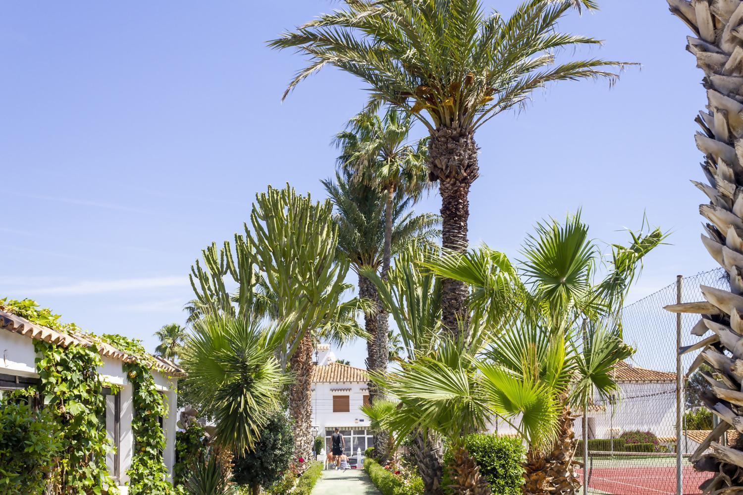 Bungalow Pink Palm Beach Torrevieja Exterior foto
